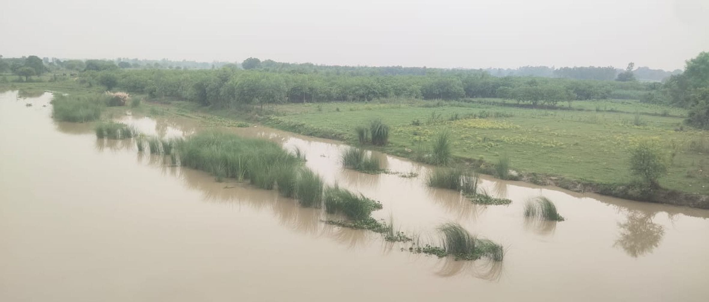 डलमऊ के कटरी क्षेत्र में पहुंचा गंगा का पानी। 