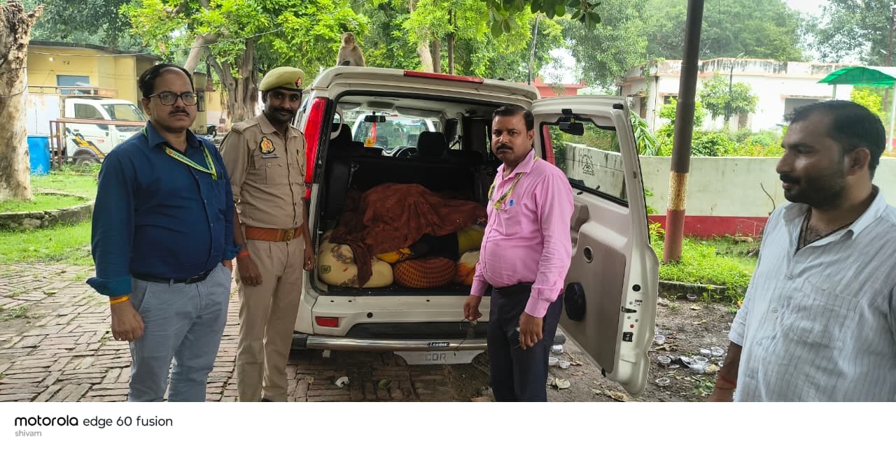 फोटो- 22 स्कॉर्पियों में रखा खोया बरामद करते अधिकारी। संवाद