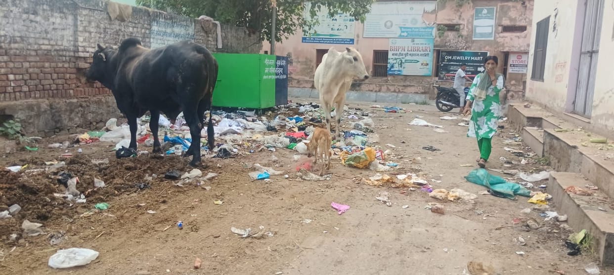 Municipal council meeting today; uproar likely over the cleaning of leaders' bungalows rather than development issues.