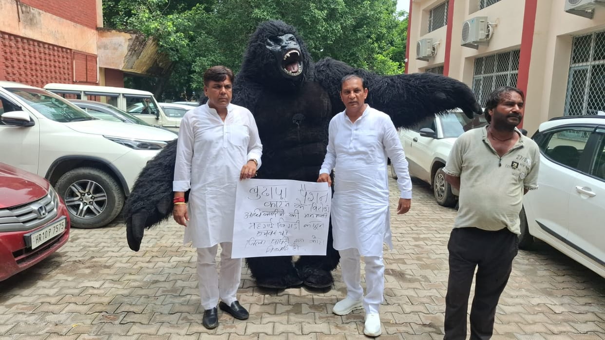 Councilor arrives at Zila Parishad meeting dressed as a gorilla.