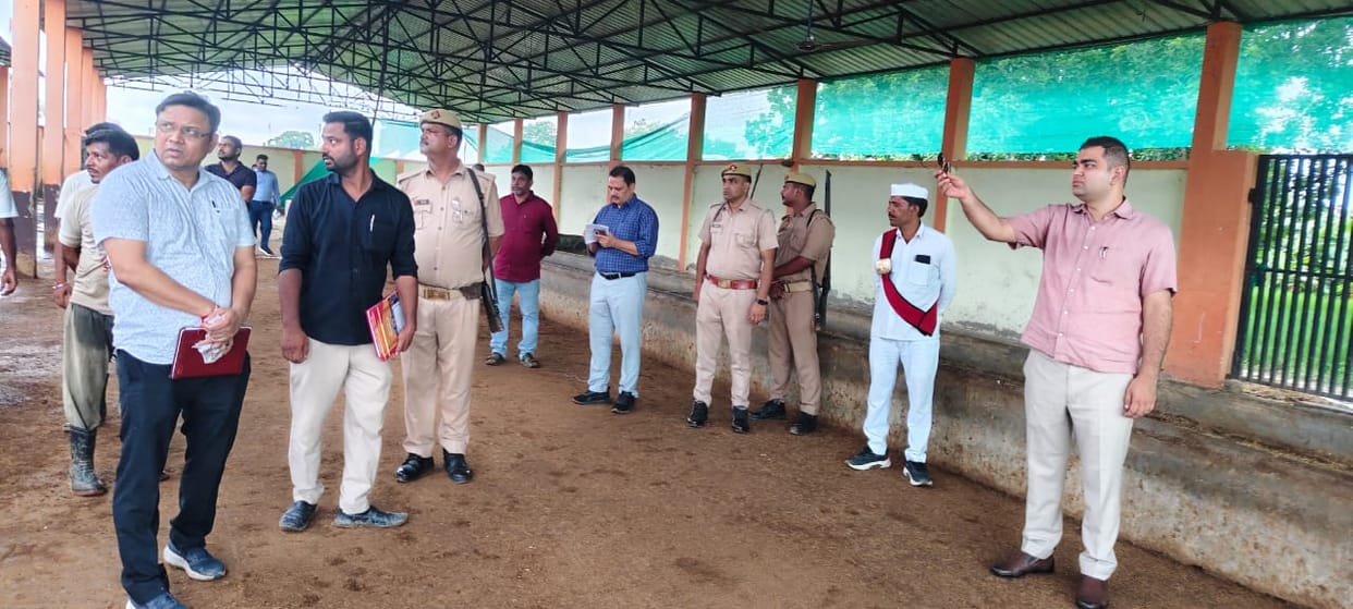 No fodder or medical treatment at the cowshed; condition of the cattle is dire.