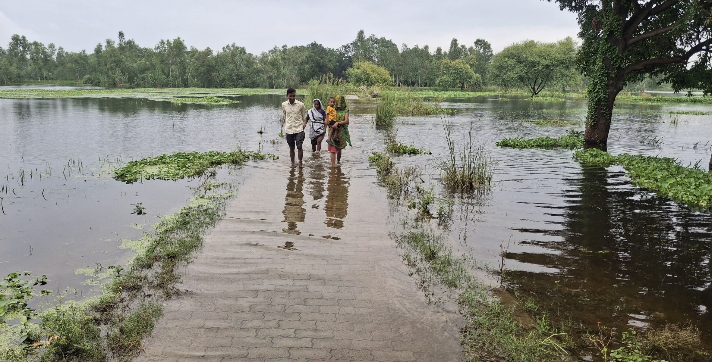 नैय्या नाला उफनाने से गुरुबक्शगंज मजरे भटसरा गांव के मुख्यमार्ग पर भरे पानी से होकर निकलते ग्रा