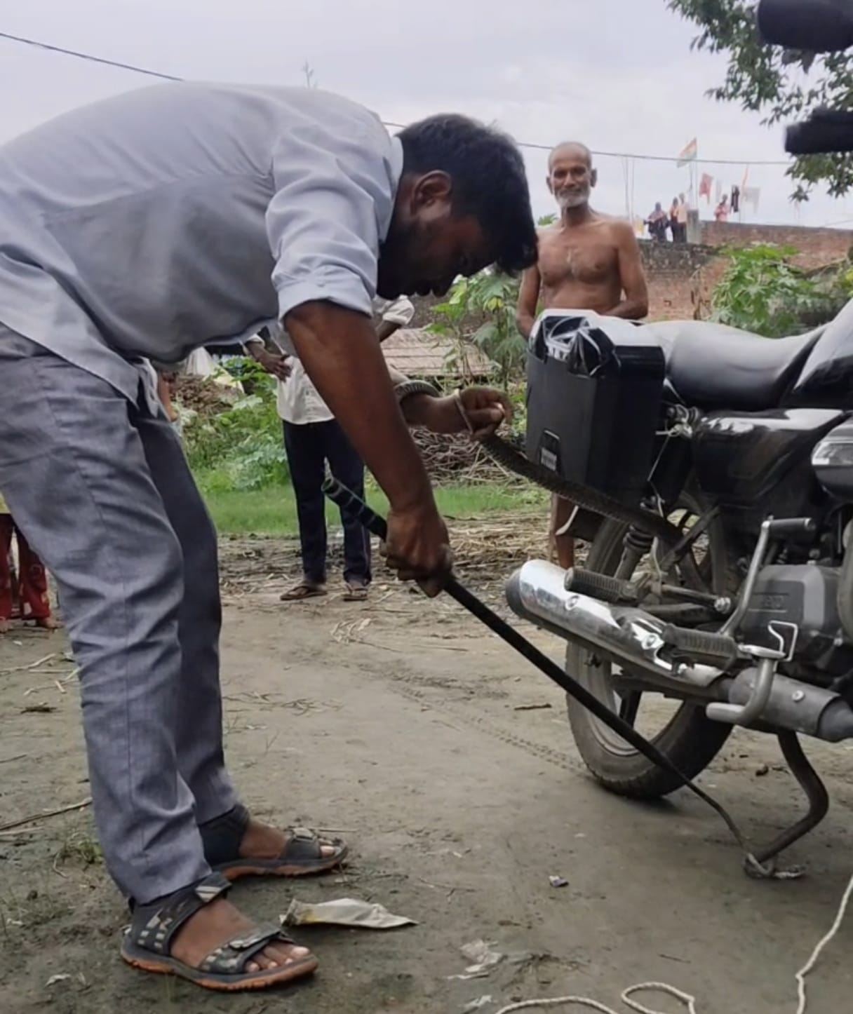 पलिया खुर्द में बाइक  में फंसे सांप का रेस्क्यू करते रामगोविन्द। संवाद