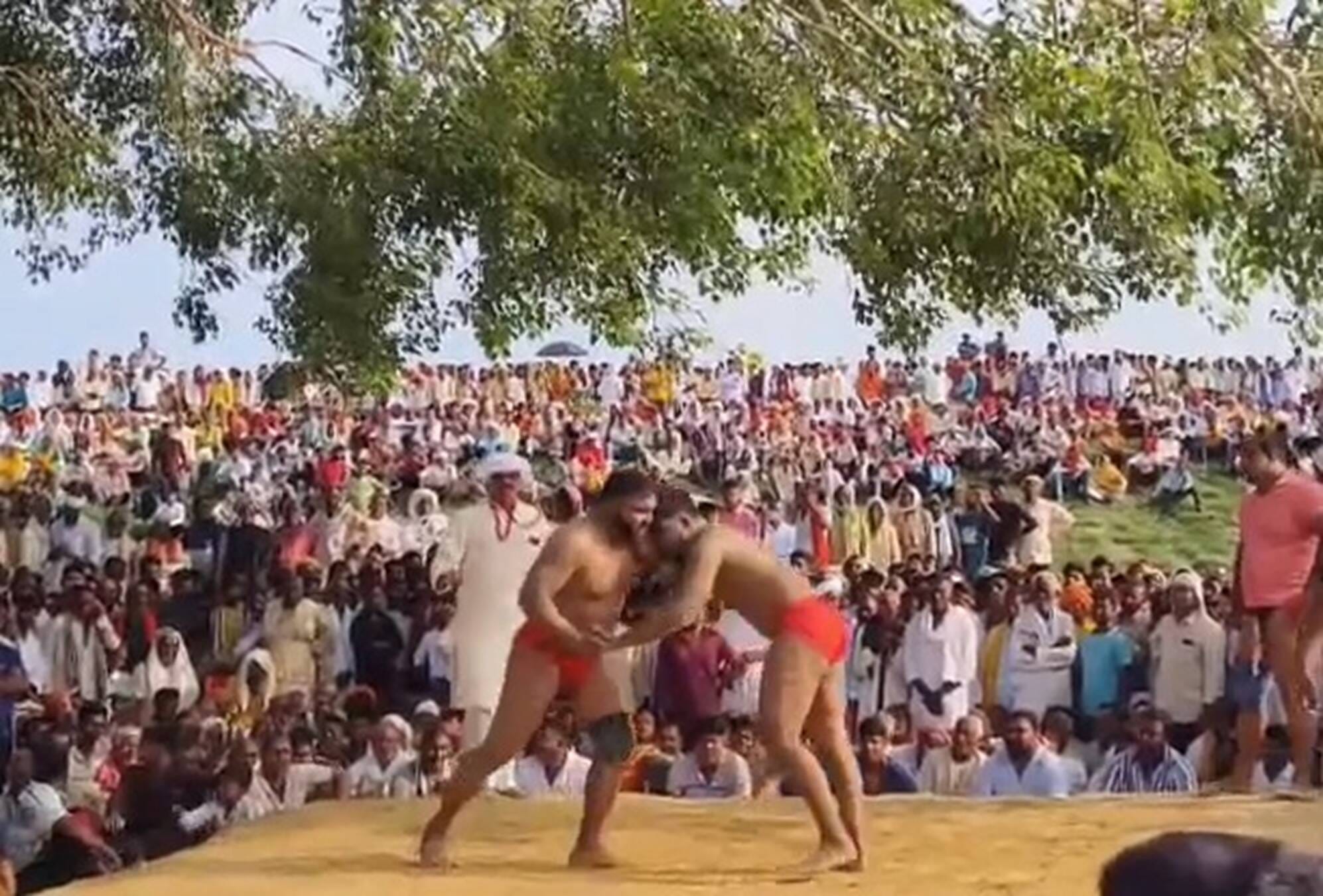 राजापुर के रायपुर मौजा में गोरिल बाबा के वार्षिक मेले में आयोजन दंगल मुकाबले में जोर आजमाइश करत