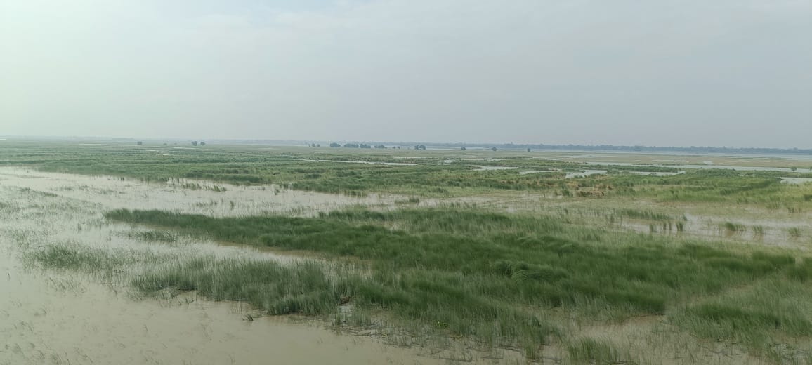 The flood's impact is less, but the smell and mosquitoes have increased worries