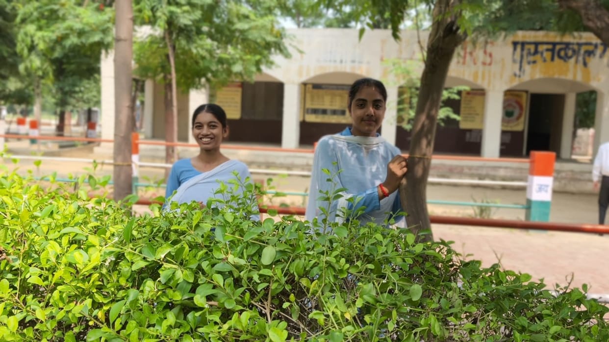 Students in schools put up trees took resolution to take care of dams