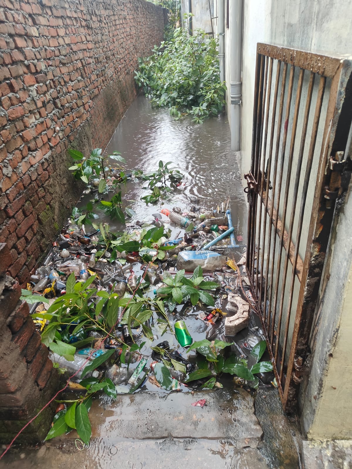33 बार गुहार फिर भी जलभराव की मार : घरों में घुसा गंदा पानी, ढहने के कगार पर दीवारें