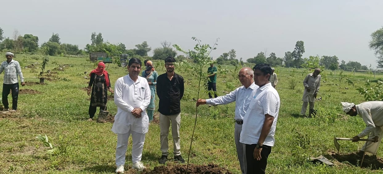 Nine acres of panchayat land were freed from a 20-year-old encroachment, and saplings were planted