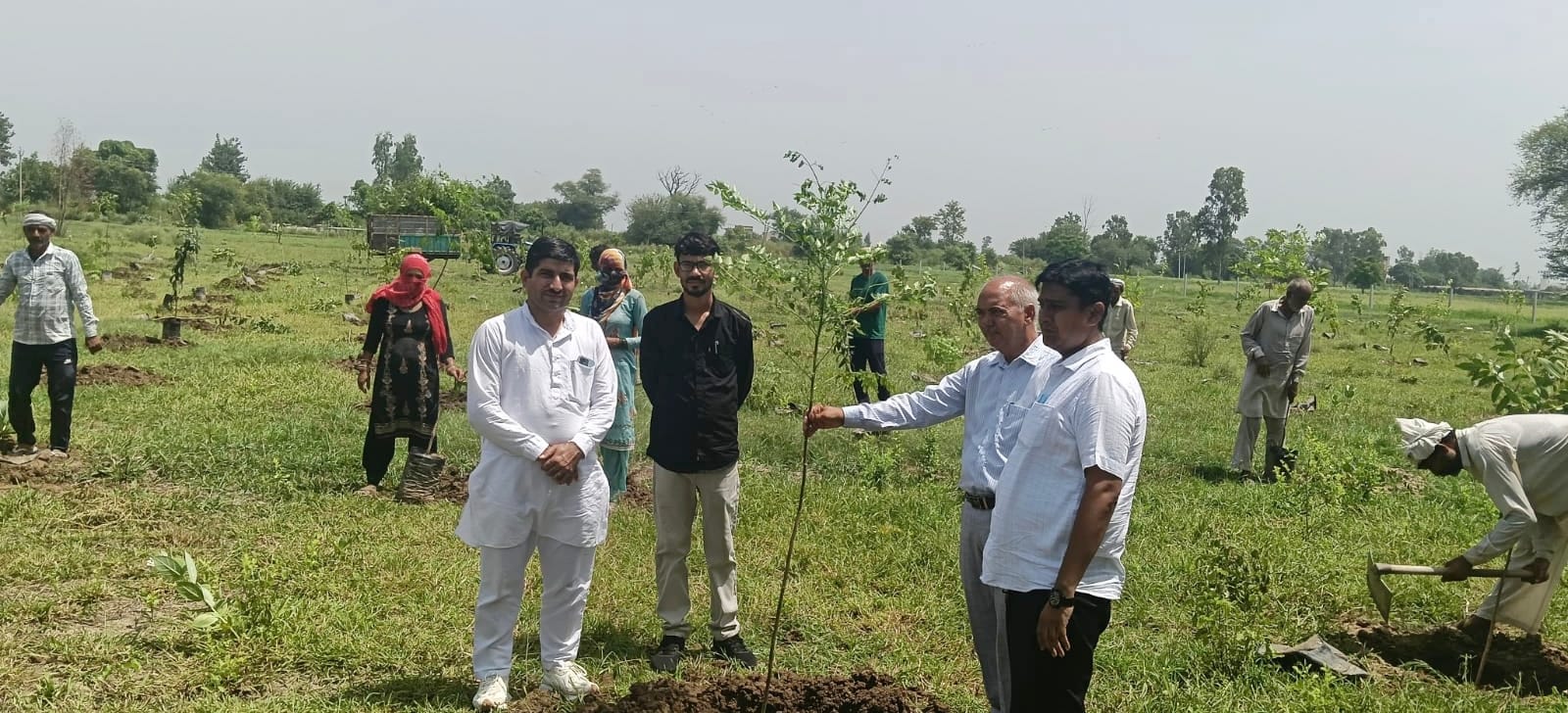 भूना।दहमान में पंचायत की 9 एकड़ जमीन कब्जामुक्त होने के बाद वन विभाग की टीम ने 4 एकड़ क्षेत्र म