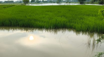 डलमऊ में गंगा का जलस्तर बढ़ने से डूबा स्नान घाट।