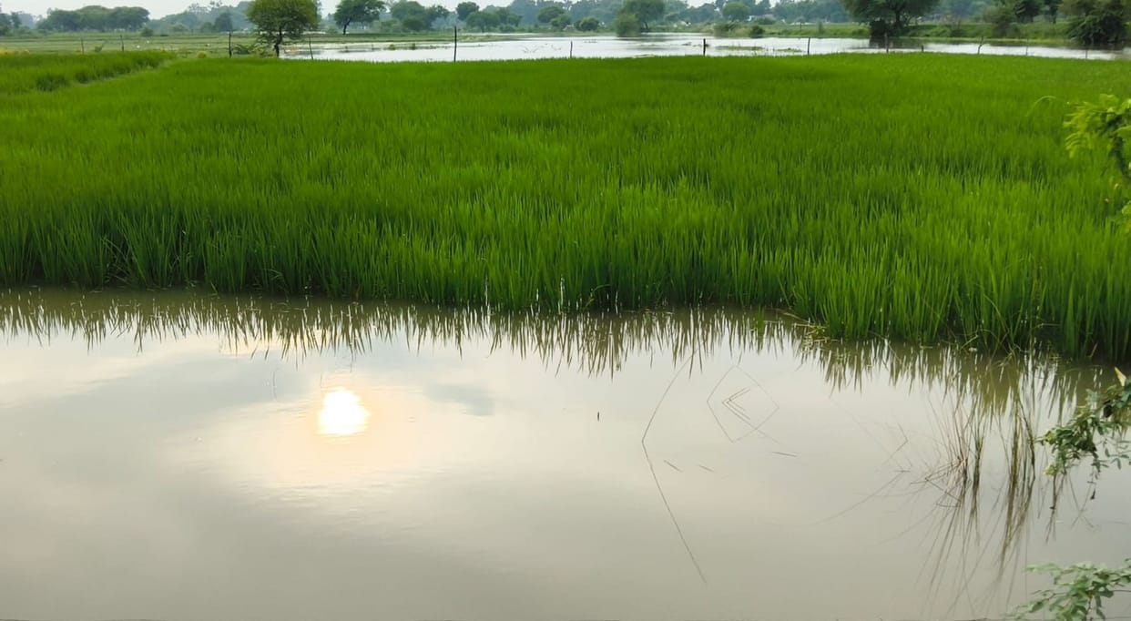 Ganga swells, ghats submerged; flood threat to villages in the low-lying riverine tracts