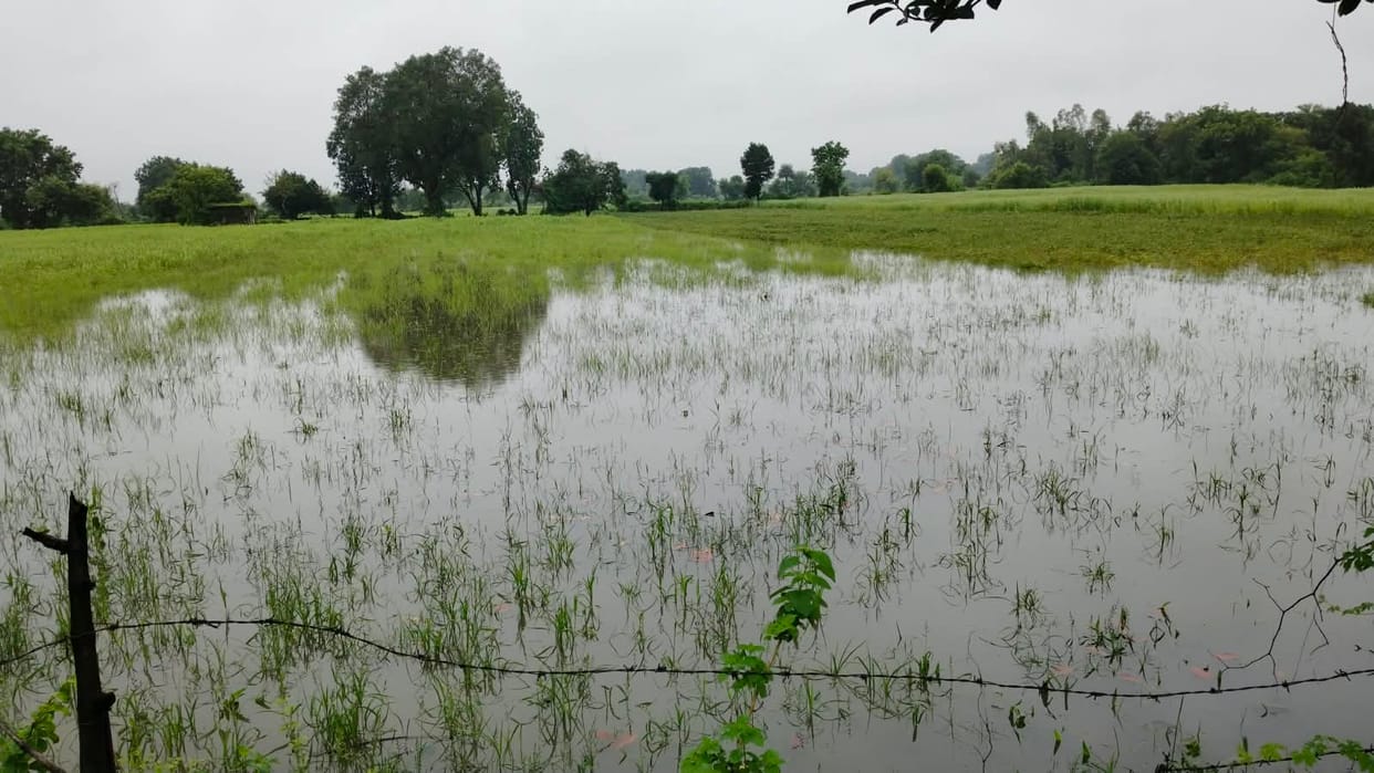 Torrential rain; waterlogging from villages to cities.