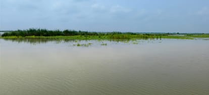 फोटो 30: मदारीपुरवा के पास गंगा नदी में बाढ़ का पानी। संवाद
