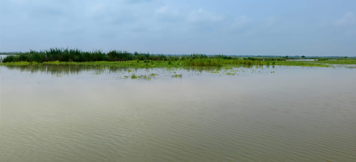 Ganges is in flood