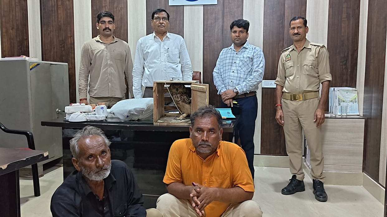 Two accused arrested for making amulets by using an owl
