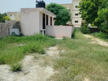 फतेहाबाद के राजकीय मॉडल संस्कृति प्राइमरी स्कूल के शौचालय के पास उगीं झाड़ियां।