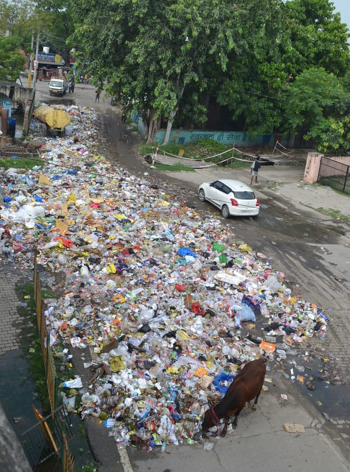 Raksha Bandhan will be celebrated amidst the stench of garbage.