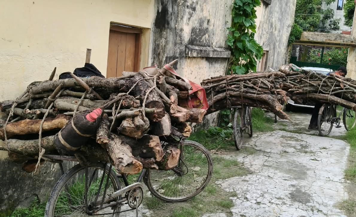 खटीमा में वन विभाग कार्यालय में जब्त की गई लकडियां