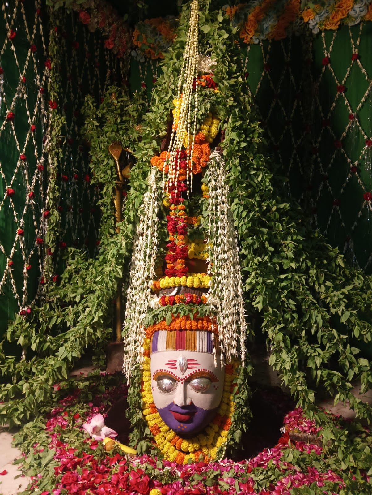 Crowd of devotees throng the 70th Shringar ceremony of Baraila Mahadev.
