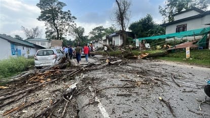बैजनाथ में राष्ट्रीय उच्च मार्ग पर पेड़ गिराने से क्षतिग्रस्त हई गाड़ी। स्रोत: जागरूक पाठक