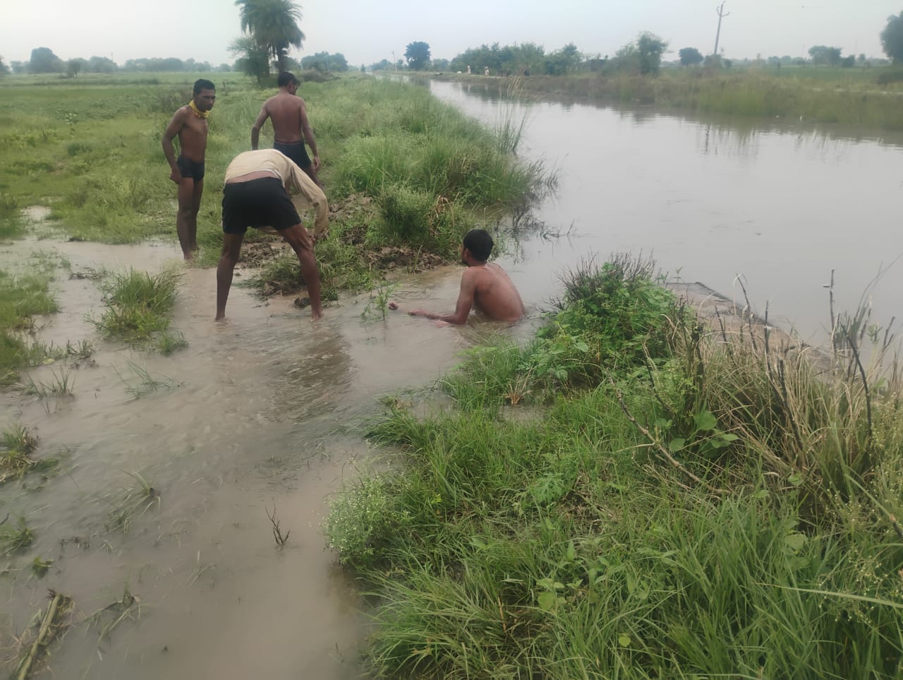 फोटो- 28 एचएएमपी 14 राठ के लींगा गांव में नहर पटरी टूटने से पानी रोकने का प्रयास करते किसान। सं