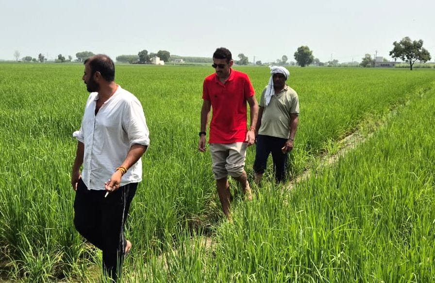 Chandigarh DRO wades into flooded paddy fields, conducts 11 digital surveys in 2-3 hours