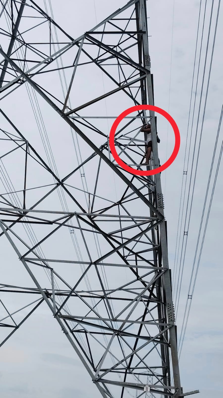 Farmer climbs mobile tower seeking compensation for crop loss