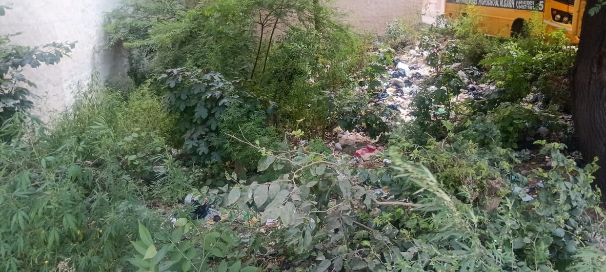 Collection of approximately 35 tonnes of garbage disrupted in the city; piles of trash have accumulated in markets and residential colonies.