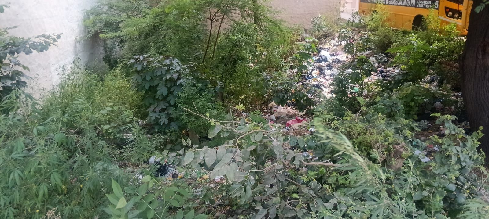 फोटो संख्या:70- फ्रेडस कॉलोनी  में लगा गंदगी का ढेर--संवाद