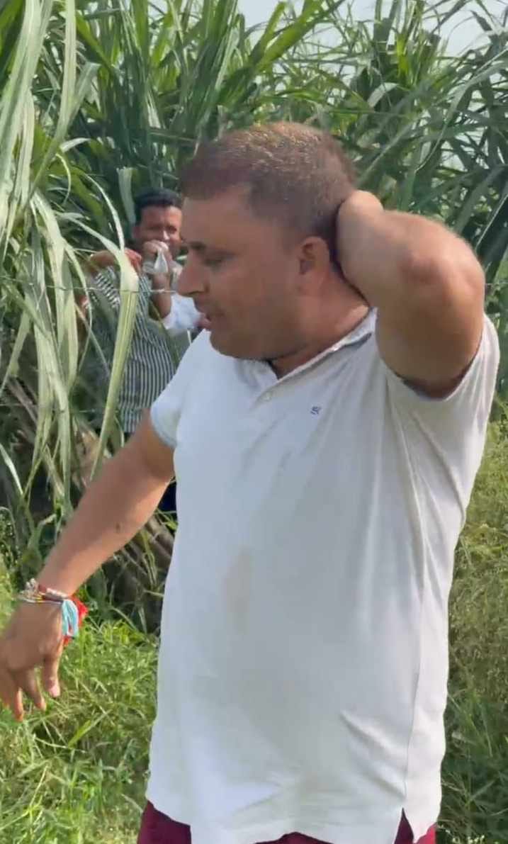 Swarm of wasps attacks trainee Tehsildar and Patwari during digital crop survey.
