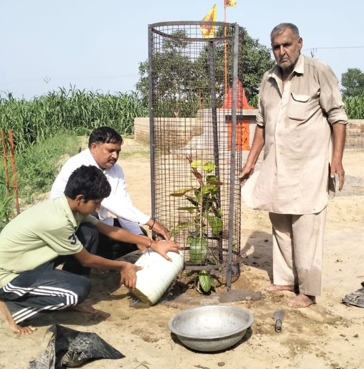 Planted 10 saplings in the temple complex.