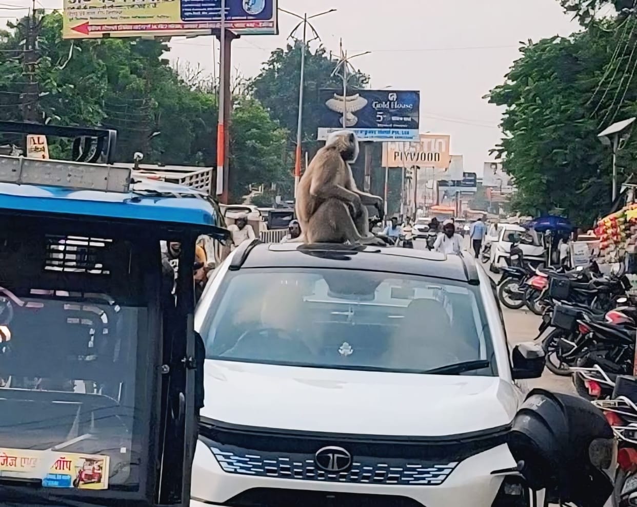 The flow of traffic remained sluggish from Malviya Road to Raghavnagar.