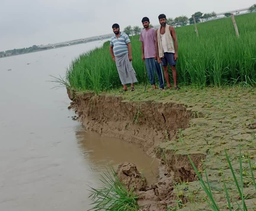 नगरिया खनू में रामगंगा में कट रही खेती दिखाते किसान। संवाद