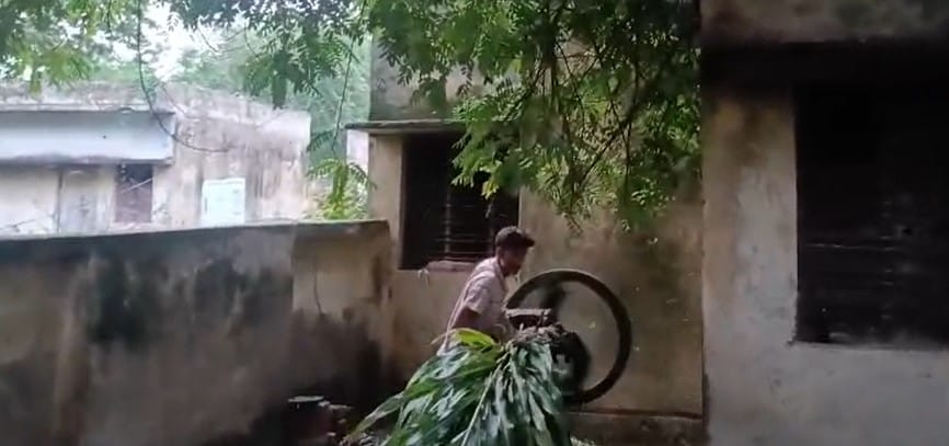 Fodder being chopped using government-supplied electricity in Kotla; questions raised.