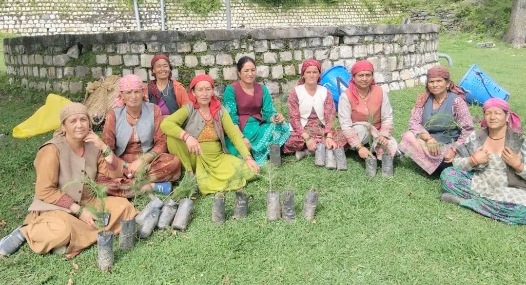 Mahila Mandal Sanei conducted a tree plantation drive
