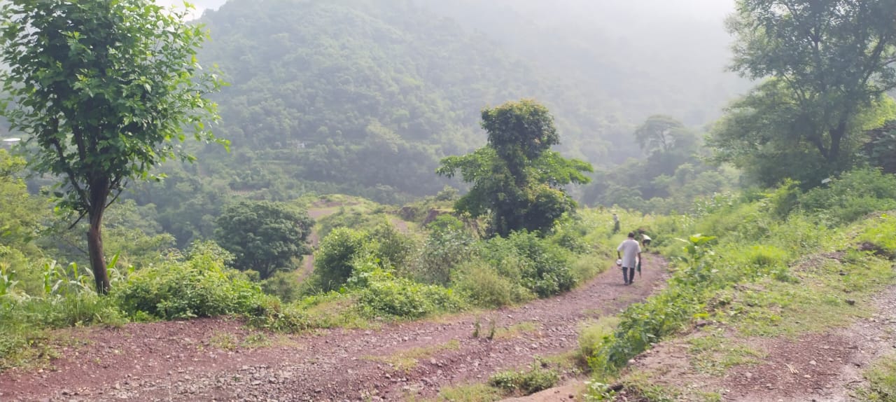 रानीकोटला-डाबर-गेहरा-बंगवाड़ सड़क। संवाद