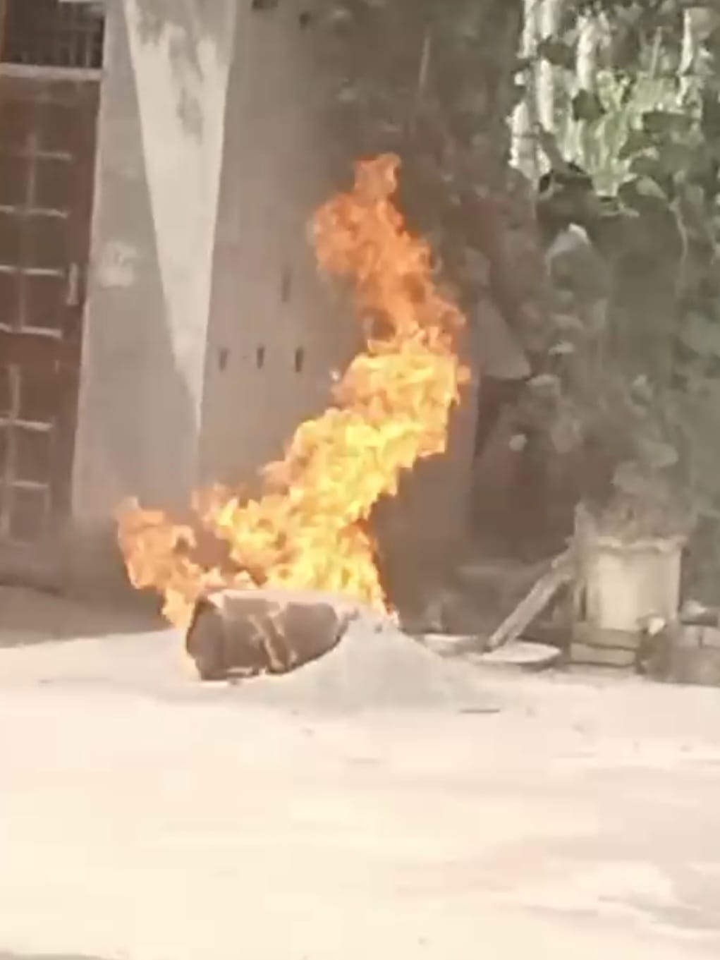 Fire breaks out due to gas cylinder leak; young woman shows presence of mind and throws the cylinder outside.
