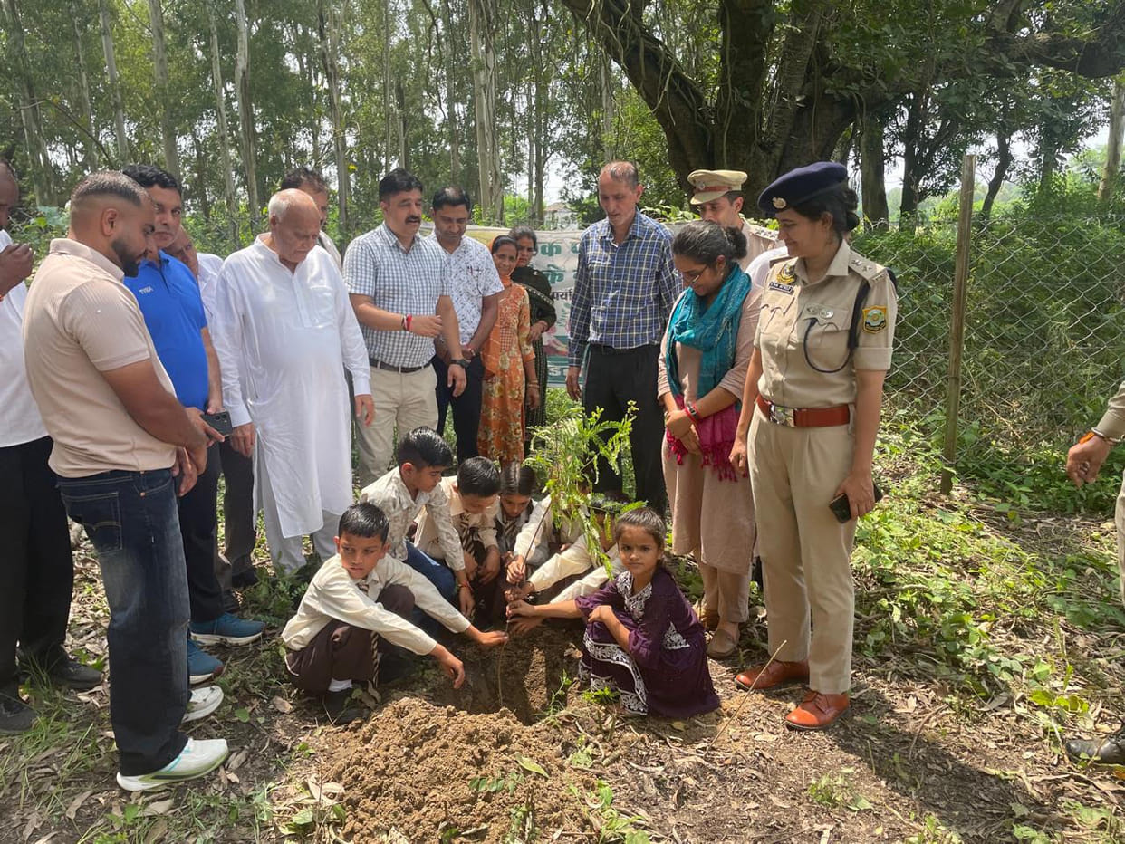 Seven lakh saplings to be planted on 700 hectares of land: Chandra Kumar
