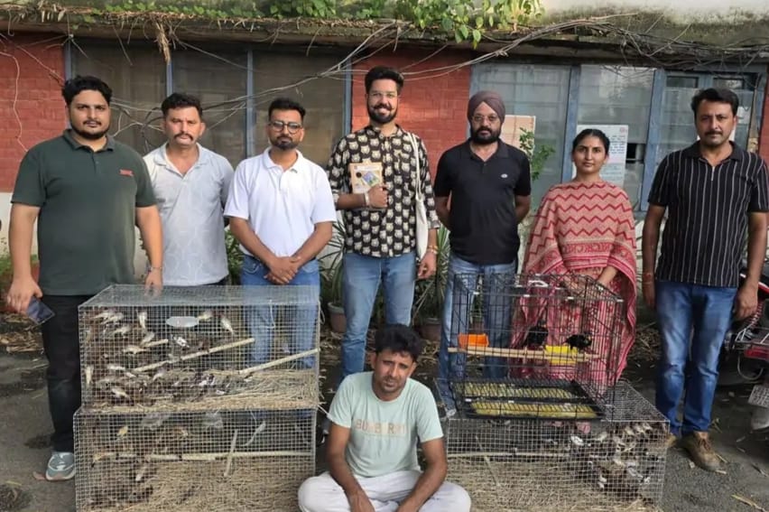 An accused arrested for illegal smuggling of rare birds in Pathankot