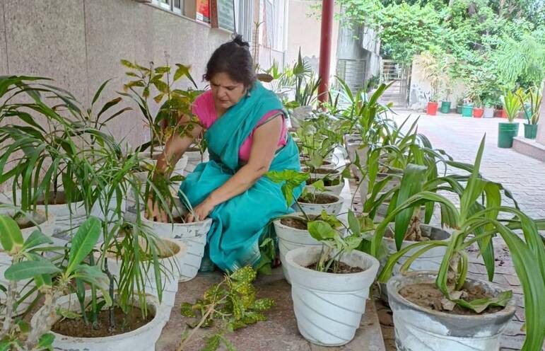 ncreasing greenery by planting saplings.