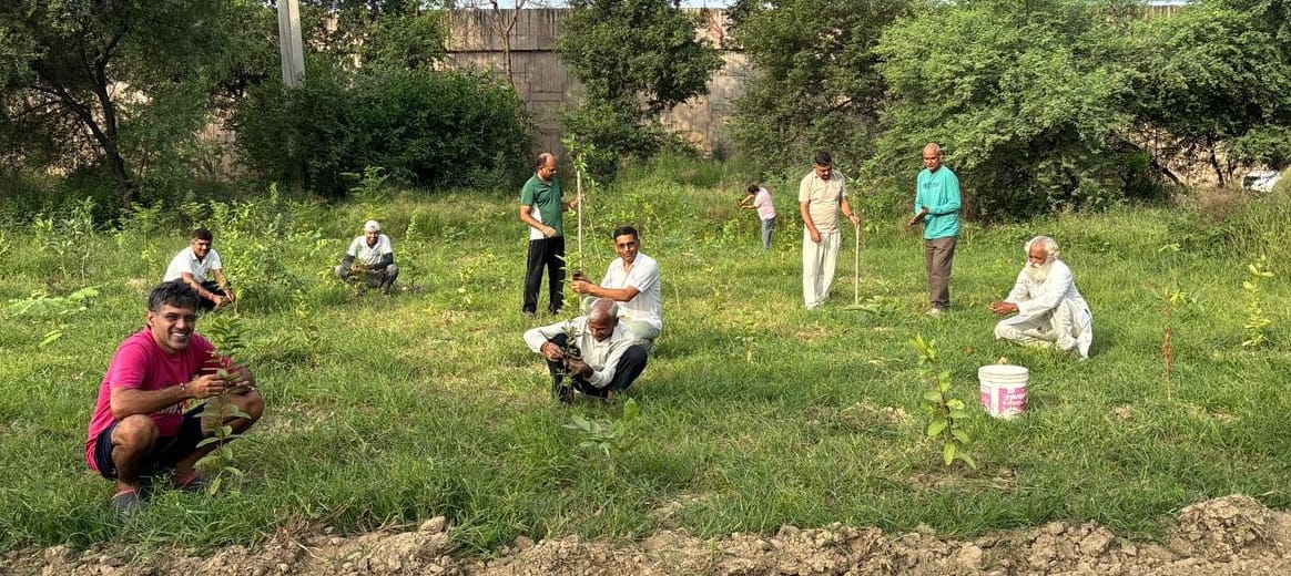 Environmental warriors tied Rakhis to trees.