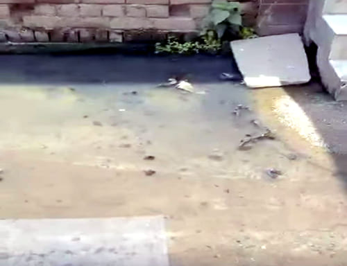 Sanitation workers' strike disrupts services; water accumulates in the street.
