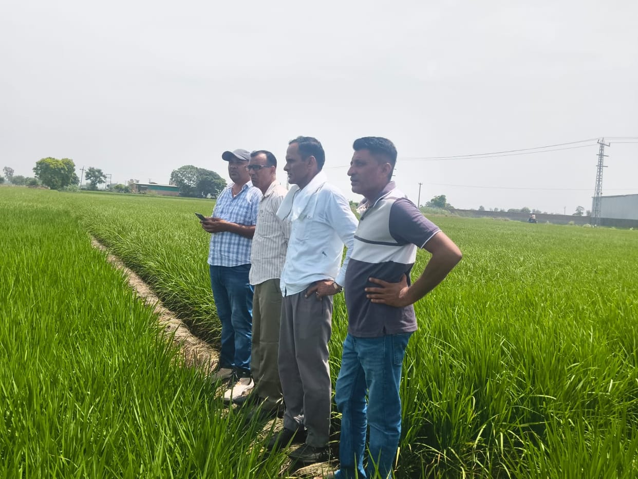 Revenue officials have been out in the field for two days to understand the difficulties faced by Patwaris