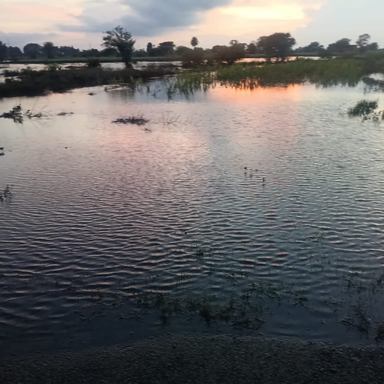 Sudden flood in Belan river, people scared