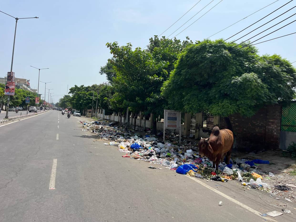 Garbage on the streets, stench inside homes, and an increased risk of disease.
