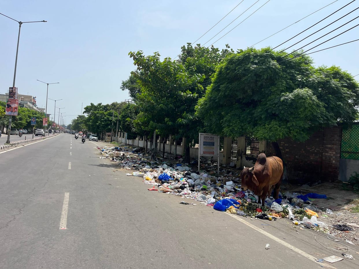 Garbage on the streets, stench inside homes, and an increased risk of disease.