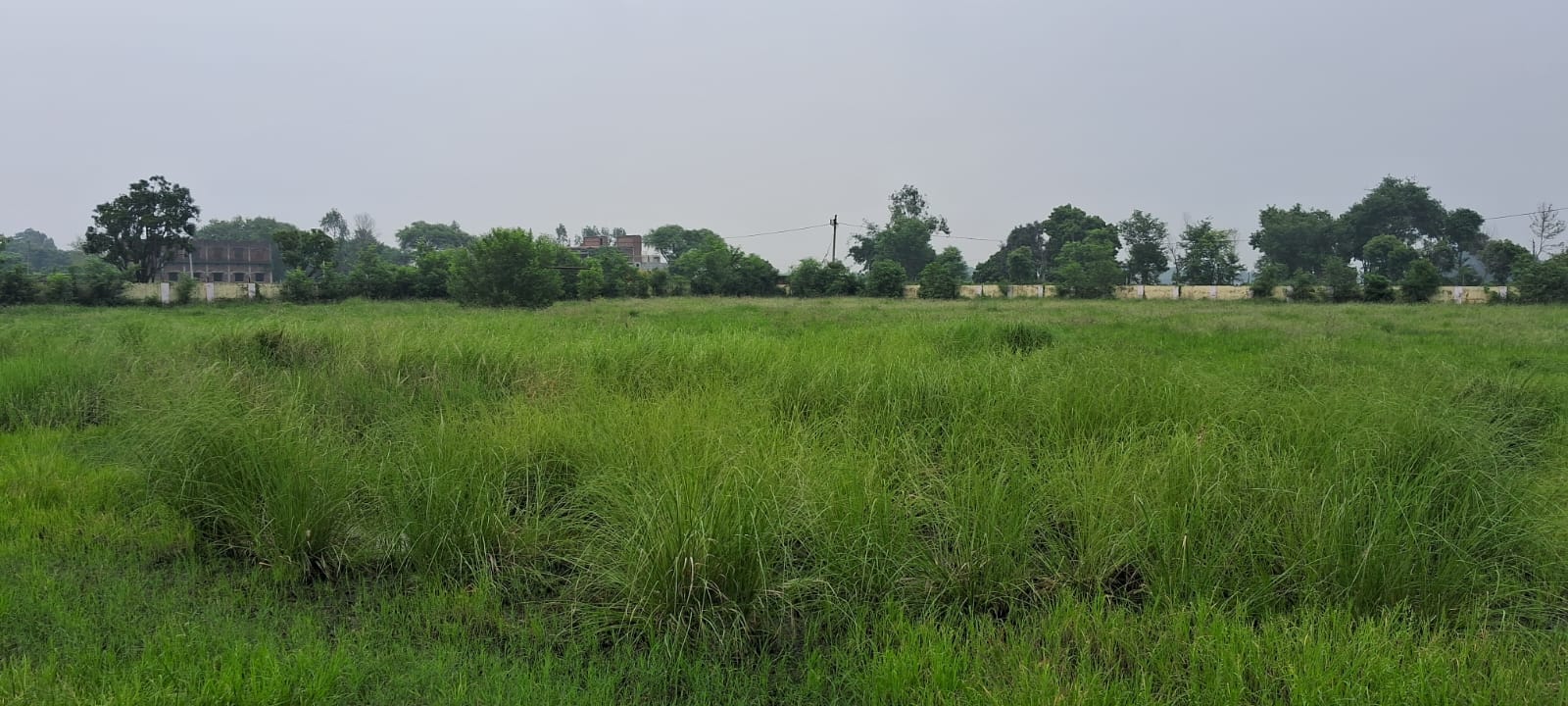खेल वाली खबर में.... सादात ब्लॉक के बघाव स्थित ग्रामीण स्टेडियम का हाल-संवाद