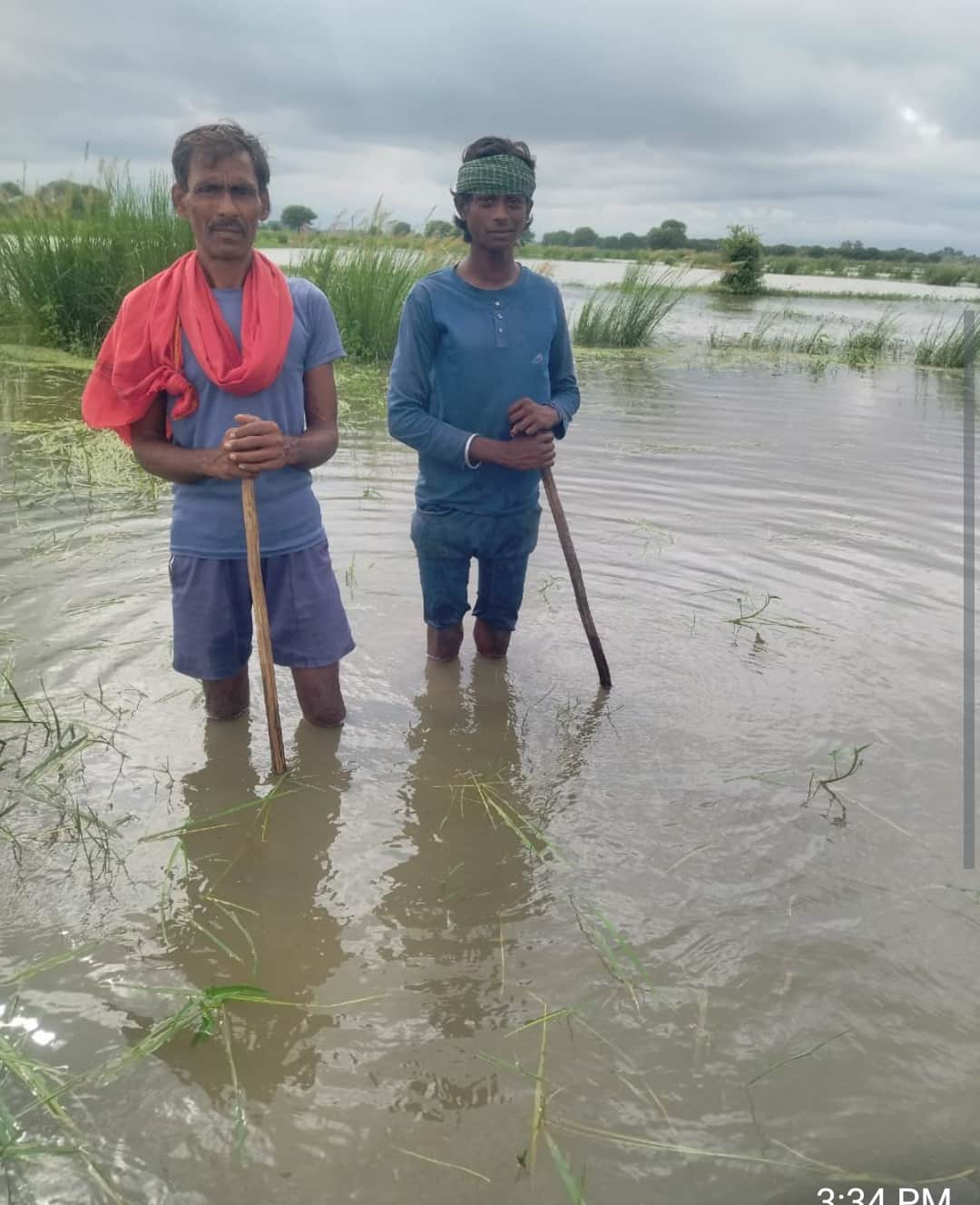 Alwara Lake expands; hundreds of bighas of paddy crop submerged.