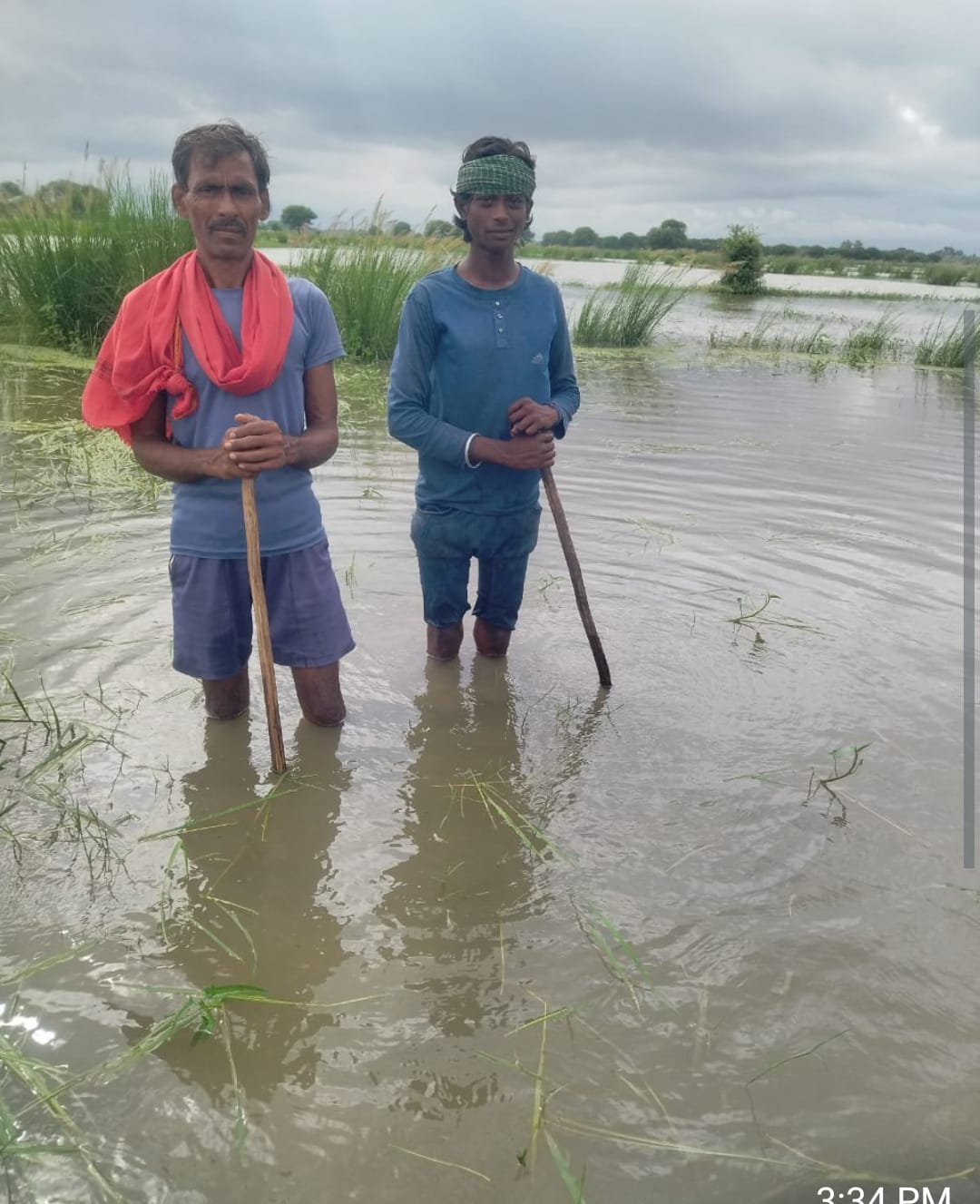 महेवाघाट के अलवारा क्षेत्र में पानी में डूबे धान के खेत को दिखाते किसान। संवाद