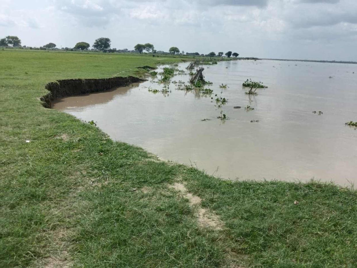 Even 'porcupine' structures worth 2.5 crore failed to halt erosion; over 50 bighas of farmland washed away.
